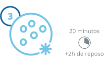 Logo ovocitos Timefreeze - 20 minutos a +2h de reposo